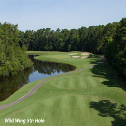 Wild Wing 5th Hole