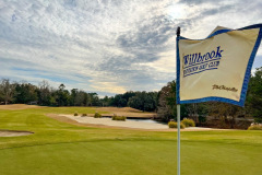 Willbrook-16th-Green