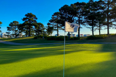 Myrtlewood-Palmetto-17th-Green-Flag