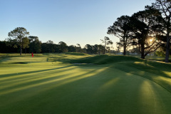 Myrtlewood-PineHills-17th