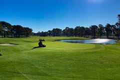 Myrtlewood-PineHills-18th-Green-
