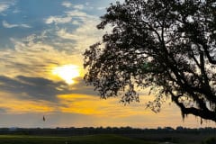 Pawleys-Plantation