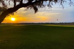 Pawleys-morning