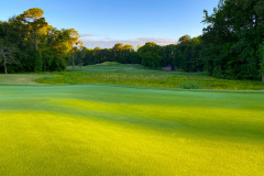 Wild-Wing-Plantation-17th-Green