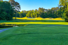 Wild-Wing-Plantation-17th-Hole