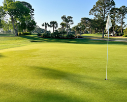 Palmetto Course at Myrtlewood Golf Club