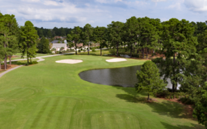 Palmetto 4th Hole