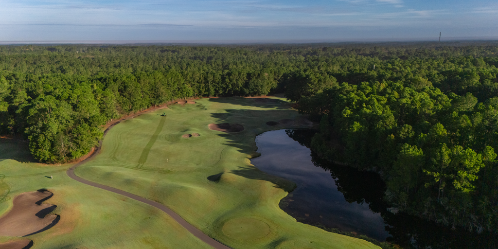 Wild Wing Avocet 14th Hole