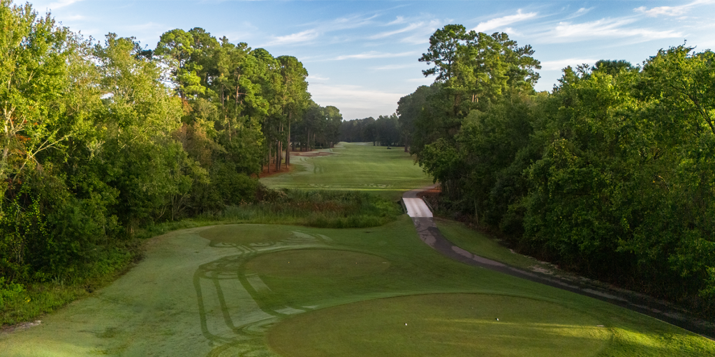 Wild Wing Avocet 4th Hole