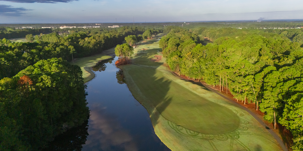 Wild Wing Avocet 6th Hole