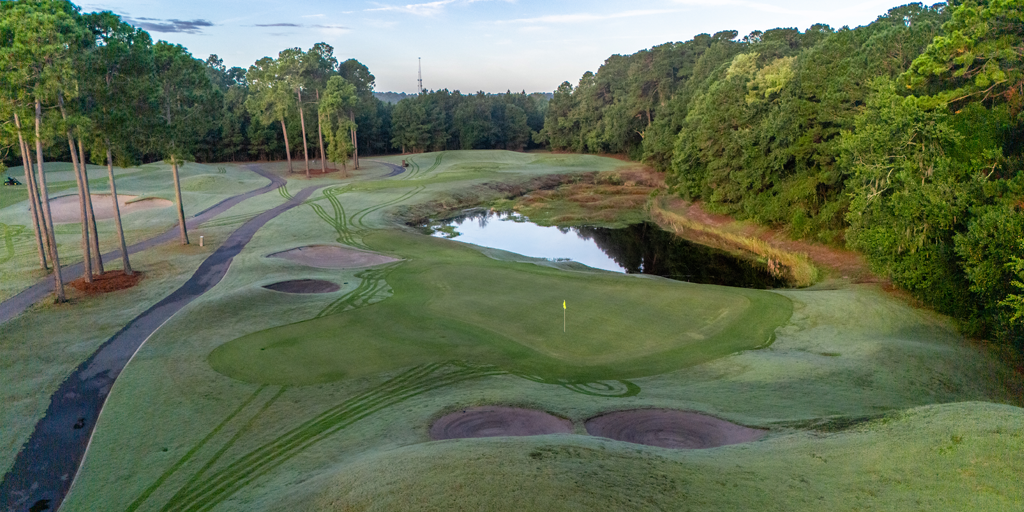 Wild Wing Avocet 8th Hole