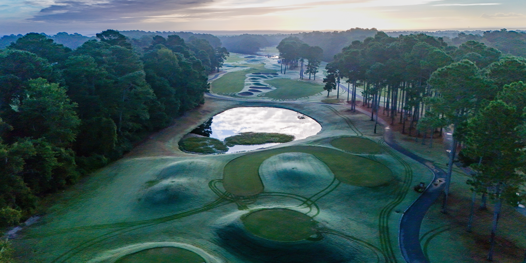 Wild Wing Avocet 9th Hole