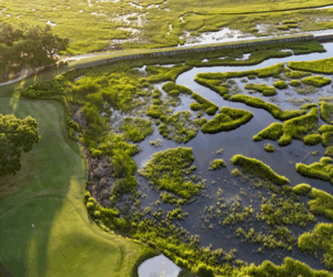 Pawleys Plantation 17th