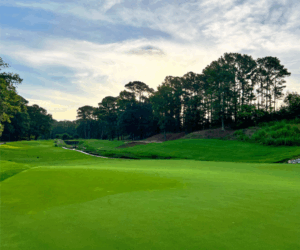 Prestwick Country Club 5th