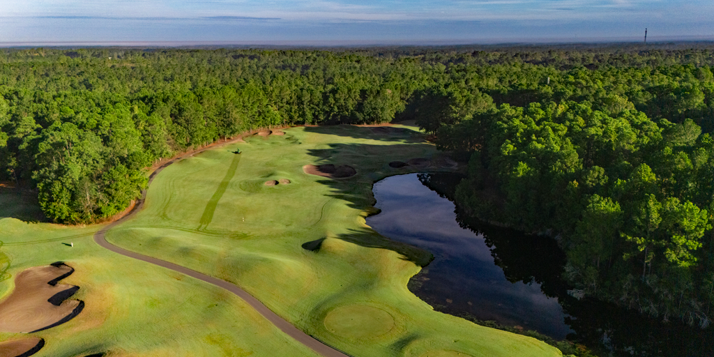 Wild Wing Avocet 14th