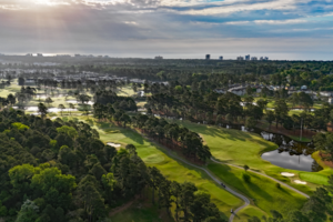 PineHills Overview