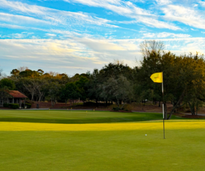 Barefoot Resort Myrtle Beach Golf Trips