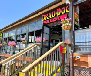 Dead Dog Saloon