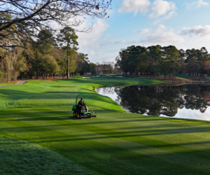 TPC Myrtle Beach 16th