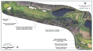 Wild Wing Design Plan 10 &17