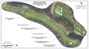 Wild Wing Design Plan Holes 11 & 12