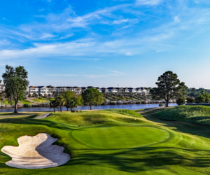 Myrtlewood PineHills