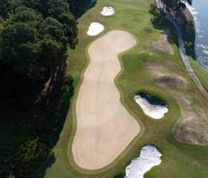 Wild Wing 17th