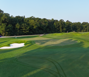 Wild Wing 18th