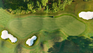 Wild Wing 17th
